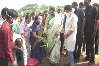 తన పుట్టినరోజు సందర్భంగా మొక్కలు నాటిన మంత్రి సత్యవతి