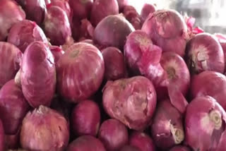 Nafed floats bids for onion supply