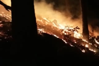 Fire in singada forest