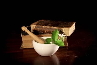 herbal medicine for kidney stones