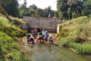 labor of the manchala-farmers in the upper canal of Konam