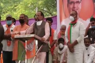 cm shivraj