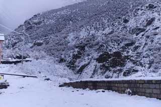 Snowfall  Kullu  Manali  Atal tunnel  Khoksar  Stranding vehicles  മഞ്ഞു വീഴ്‌ച  മനാലി-ലേ റോഡ് ഗതാഗതം  മനാലി-ലേ റോഡ് ഗതാഗതം തടസ്സപ്പെട്ടു