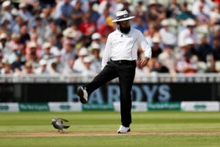 Aleem Dar set to break record for most ODIs as umpire