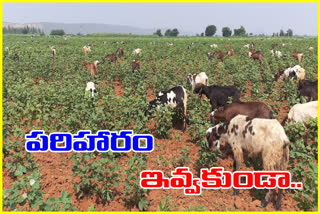 పరిహారం ఇవ్వకుండా దున్నేశారని రైతుల ఆవేదన