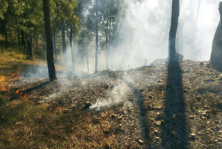 berinag fire