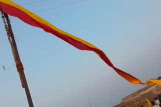 Kannada Rajyotsava celebrations In Bellary