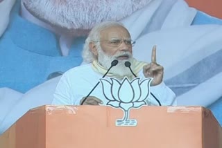 Has any relative of Nitish Kumar been sent to Rajya   Sabha? Do you find any relative of Modi in Parliament?: PM  Modi asks at Bihar rally.