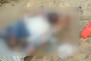 youth murdered in tarana, चूरू हिंदी न्यूज