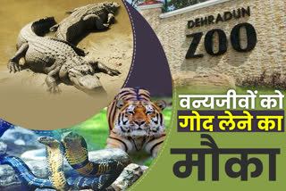 dehradun-zoo