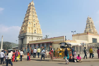 male mahadeshwar hills  free from today