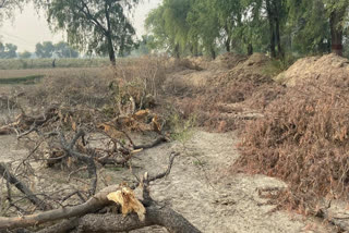 पर्यावरण प्रेमियों की पत्रकार वार्ता, Environment lovers press conference