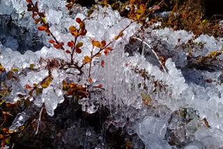 chamoli News  temperature in Badrinath has reached zero degree  Badrinath Temple  Snowfall in Uttarakhand  ചമോലിയിലെ താപനില താഴുന്നു  ബദ്രിനാഥിലെ താപനില പൂജ്യത്തിന് താഴേക്ക്  ഉത്തരാഖണ്ഡിലെ താപനില പൂജ്യത്തിന് താഴെ  ബദ്രിനാഥിലെ താപനില കുറയുന്നു