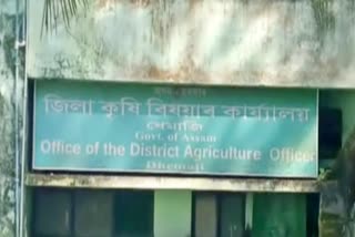 district agriculture office demand flood pakage in dhemaji assam etv bharat news