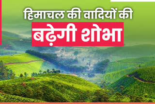 forest cover increased in himachal