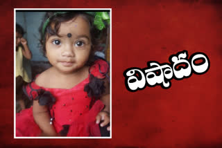 17 months old baby dies at ponnari in adilabad district