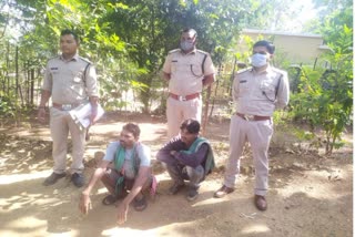 two-accused-arrested-for-smuggling-illegal-timber-from-forest-in-bilaspur