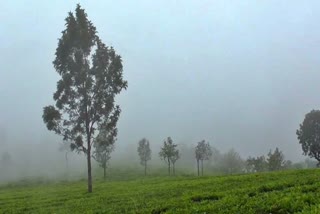 குன்னூரில் நீர் பனி விழத் தொடங்கியது!