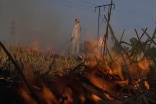 Stubble burning contributing 40% to Delhi's pollution