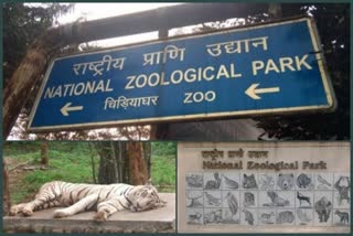 National zoo park celebrated  62th foundation day in delhi
