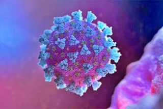 Mutation in novel coronavirus may have made it more contagious: Study