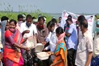 fish-seed-released-in-taliperu-project-at-charla-mandal-in-bhadradri-kothagudem