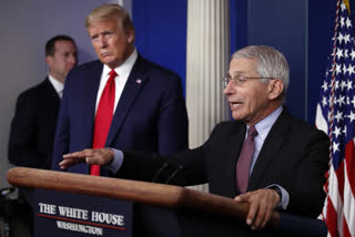 Anthony Fauci with trump