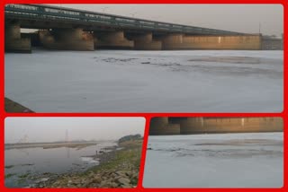 heavy foam seen at Kalindikunj Ghat due to ammonia levels rise in Yamuna