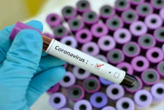 coronavirus positive in shimla