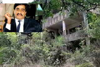 Underworld don Dawood Ibrahim property will be auctioned on November 10