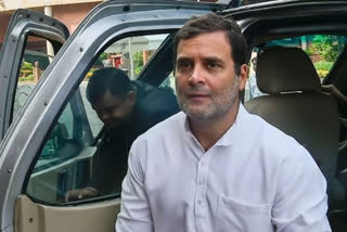 Rahul Gandhi left from shimla