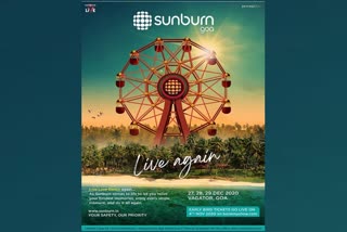 Sunburn Festival