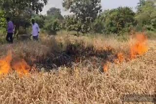 farmer burn one acer paddy in sirnapally