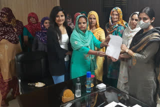 kharkhoda female villagers gave memorandum to sdm regarding environment friendly diwali