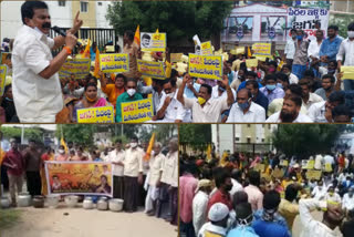 tdp protest for public issue