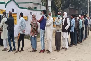 voting for by elections has been going on since morning in amroha uttar pradesh