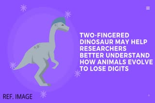 Dinosaurs , research