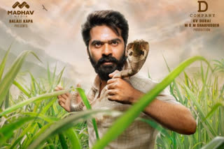 Simbu