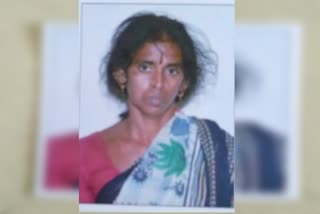 mylapore double murder case twist