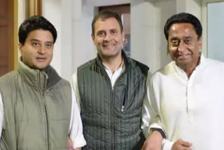 jyotiraditya, rahul and kamalnath