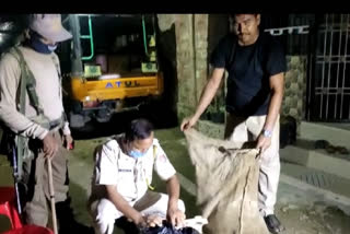 drugs recoery by nagaon police
