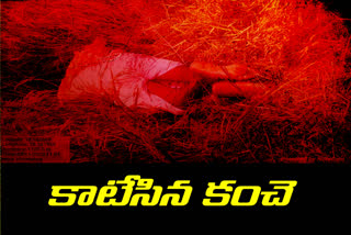 Farmer dies of electric shock at Gollamada village in Narsapur (G) Zone of Nirmal District