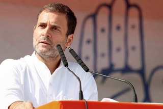 تیسرے مرحلے کے لیے راہل گاندھی کی انتخابی ریلی