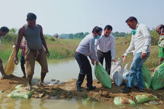 sack dam construction