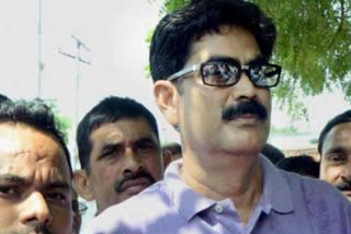 md shahabuddin of bihar seeks custodial parole from delhi high court