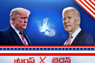 trump- biden