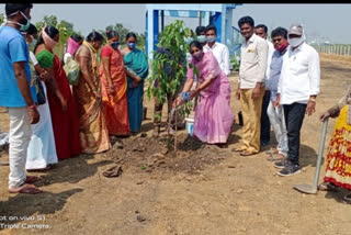 nagaram Vice MPP Guntakandla manimal planted plants in the rural nature forest in nagaram