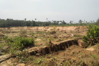 Farmers' crop fields in sarada river water