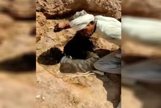 five-year-old-child-falls-in-borewell-in-niwari