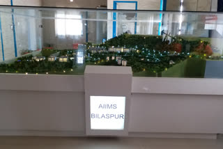 Bilaspur AIIMS opd